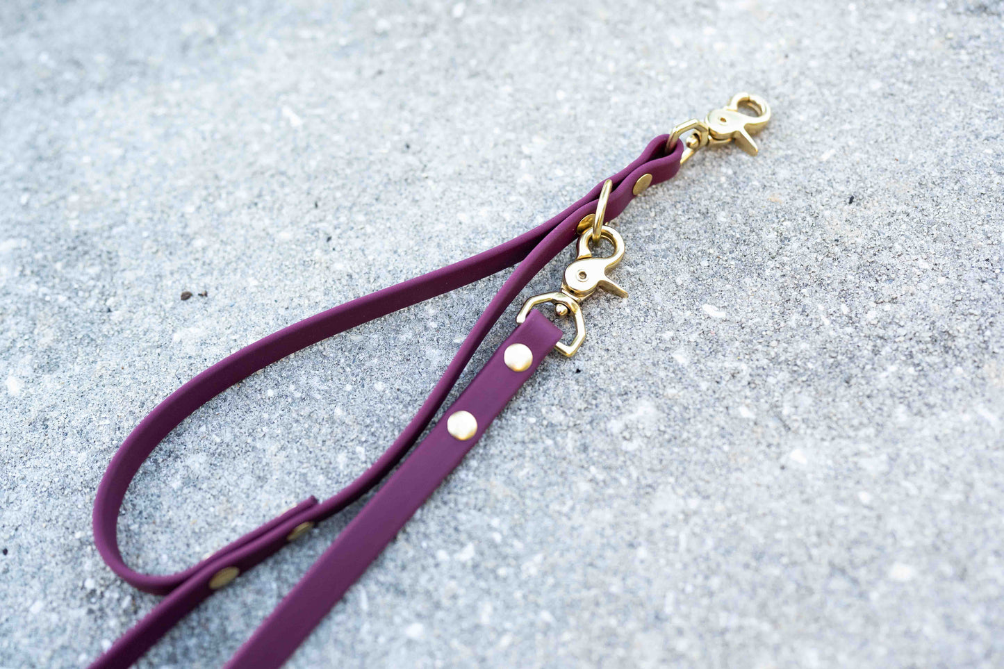 Ultimate Hands-Free Convertible Leash