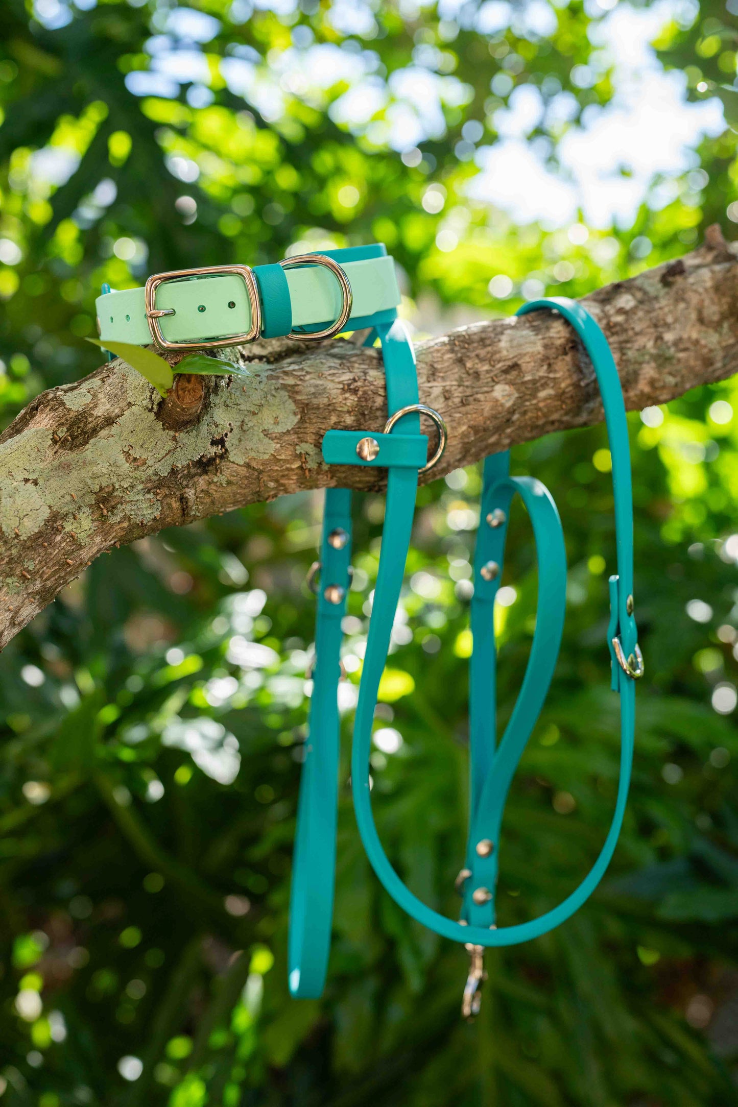 Ultimate Hands-Free Convertible Leash