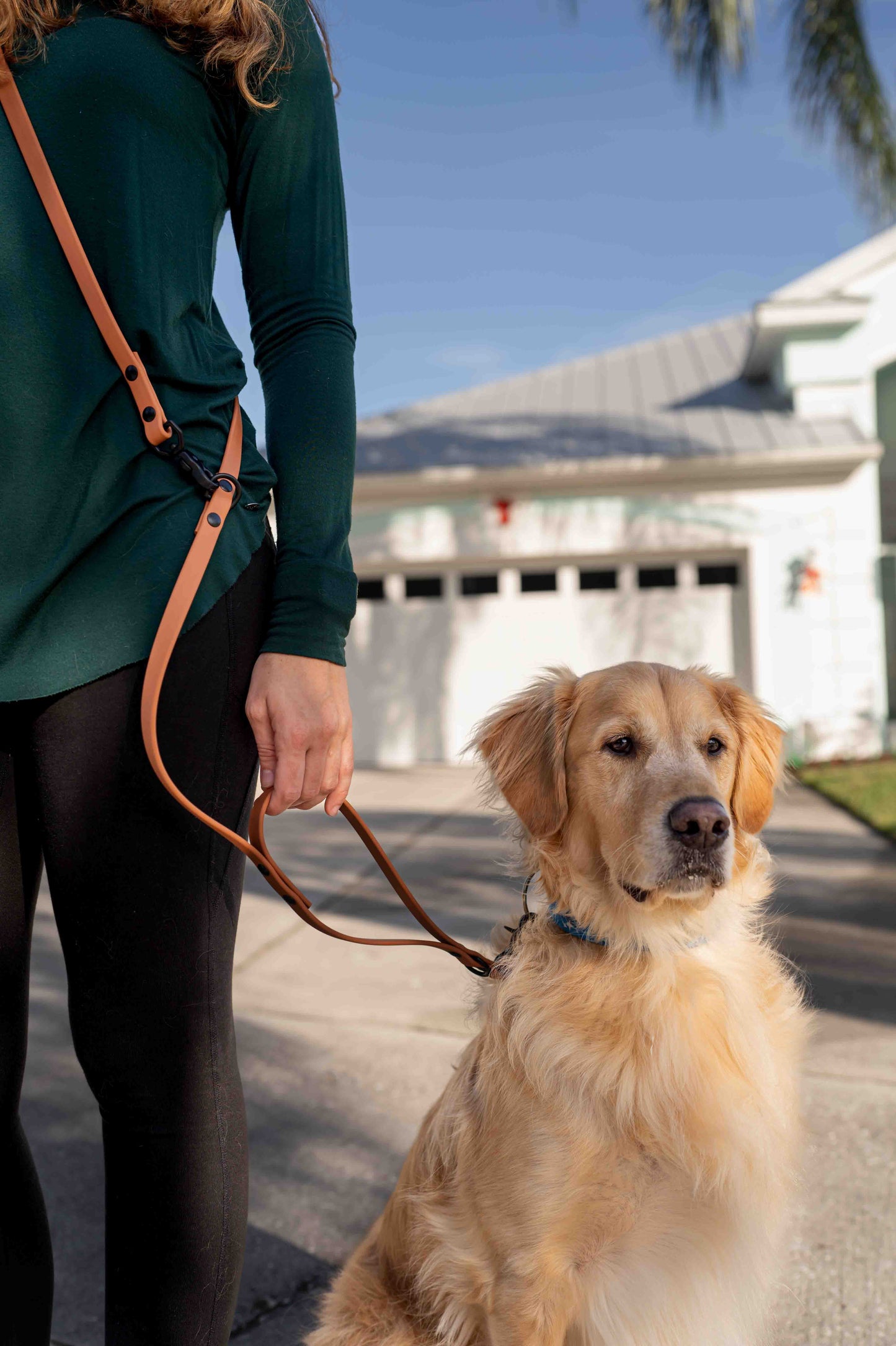 Ultimate Hands-Free Convertible Leash