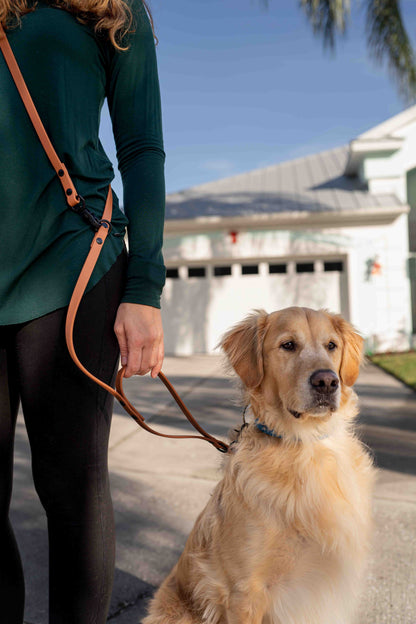 Ultimate Hands-Free Convertible Leash