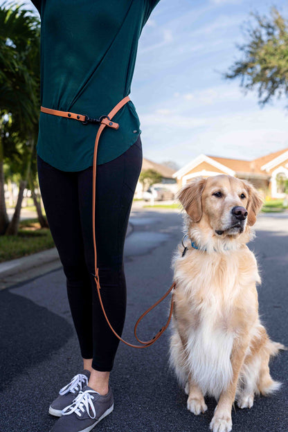 Ultimate Hands-Free Convertible Leash