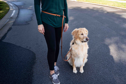 Ultimate Hands-Free Convertible Leash