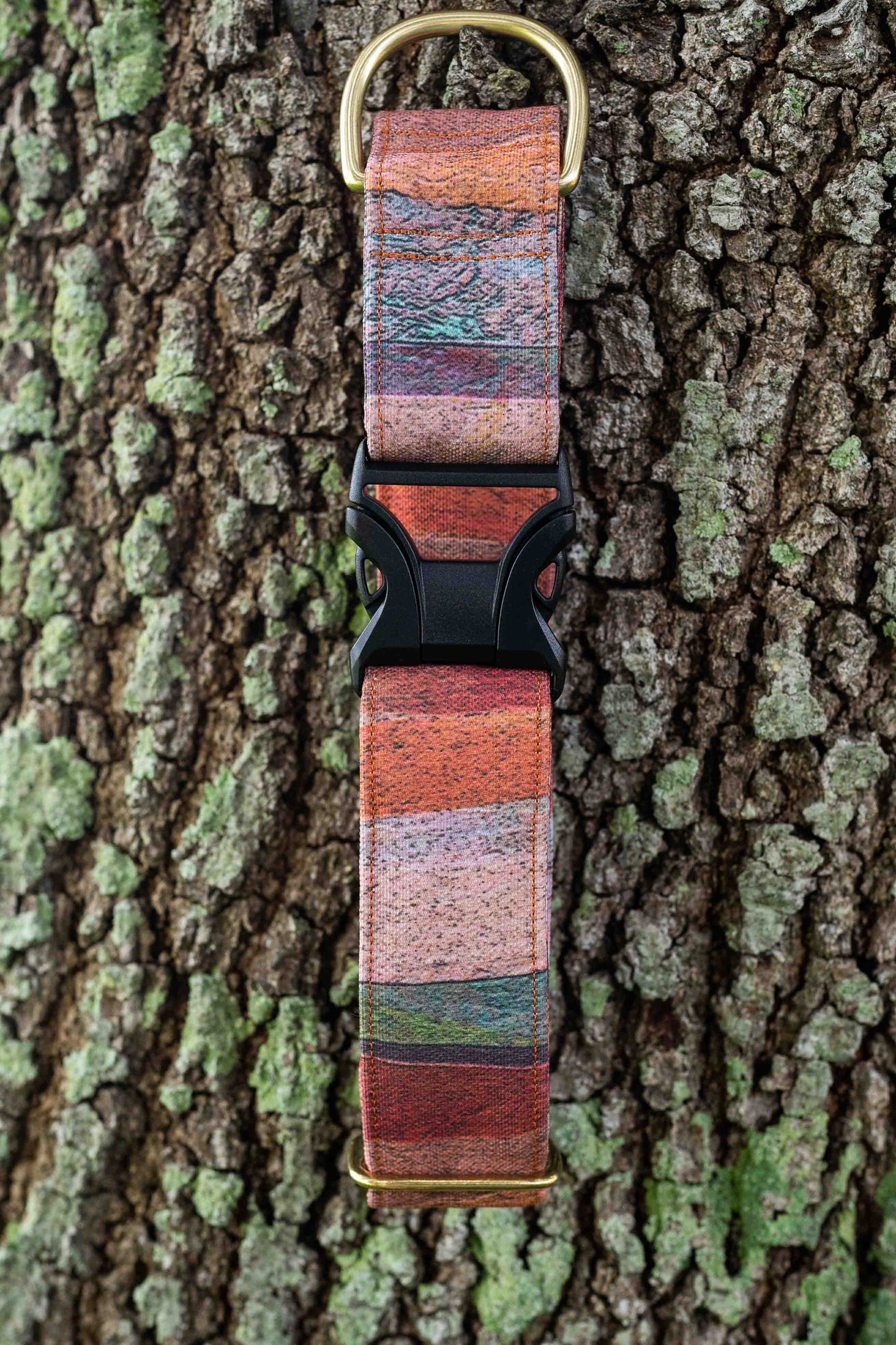 Sedona Eco Canvas Custom Dog Collar