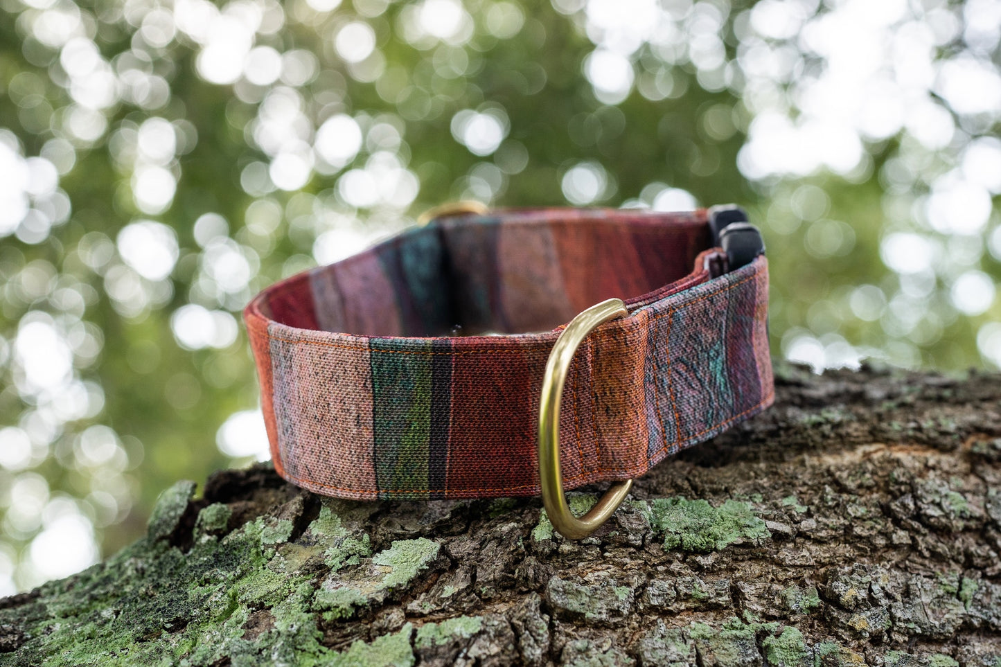 1" Width Eco Canvas Collars