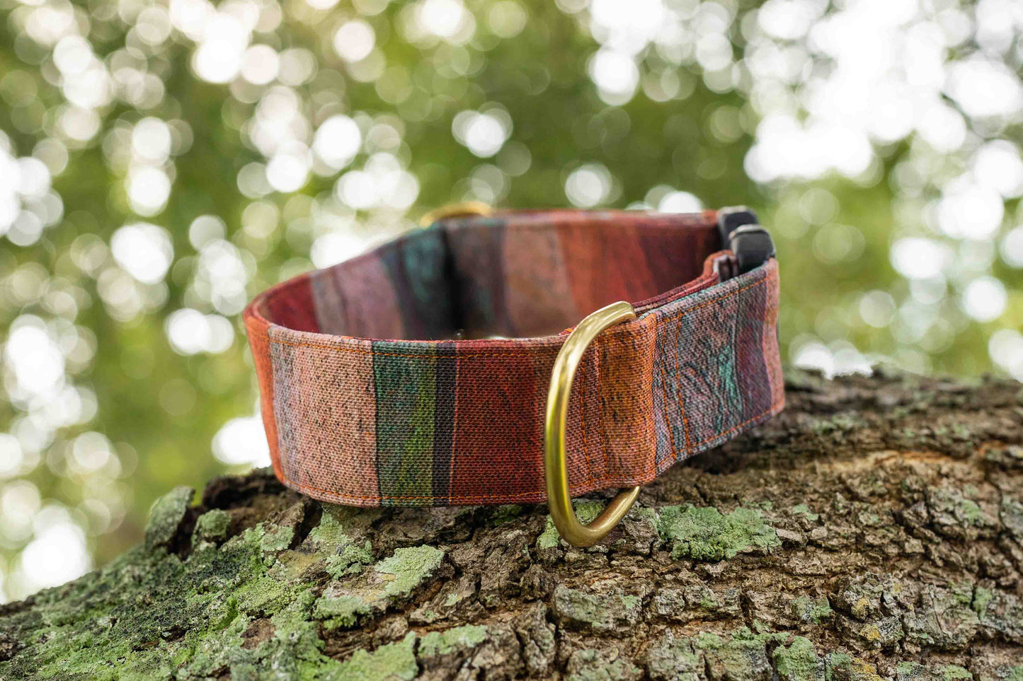Sedona Eco Canvas Custom Dog Collar