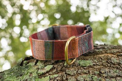 Sedona Eco Canvas Custom Dog Collar