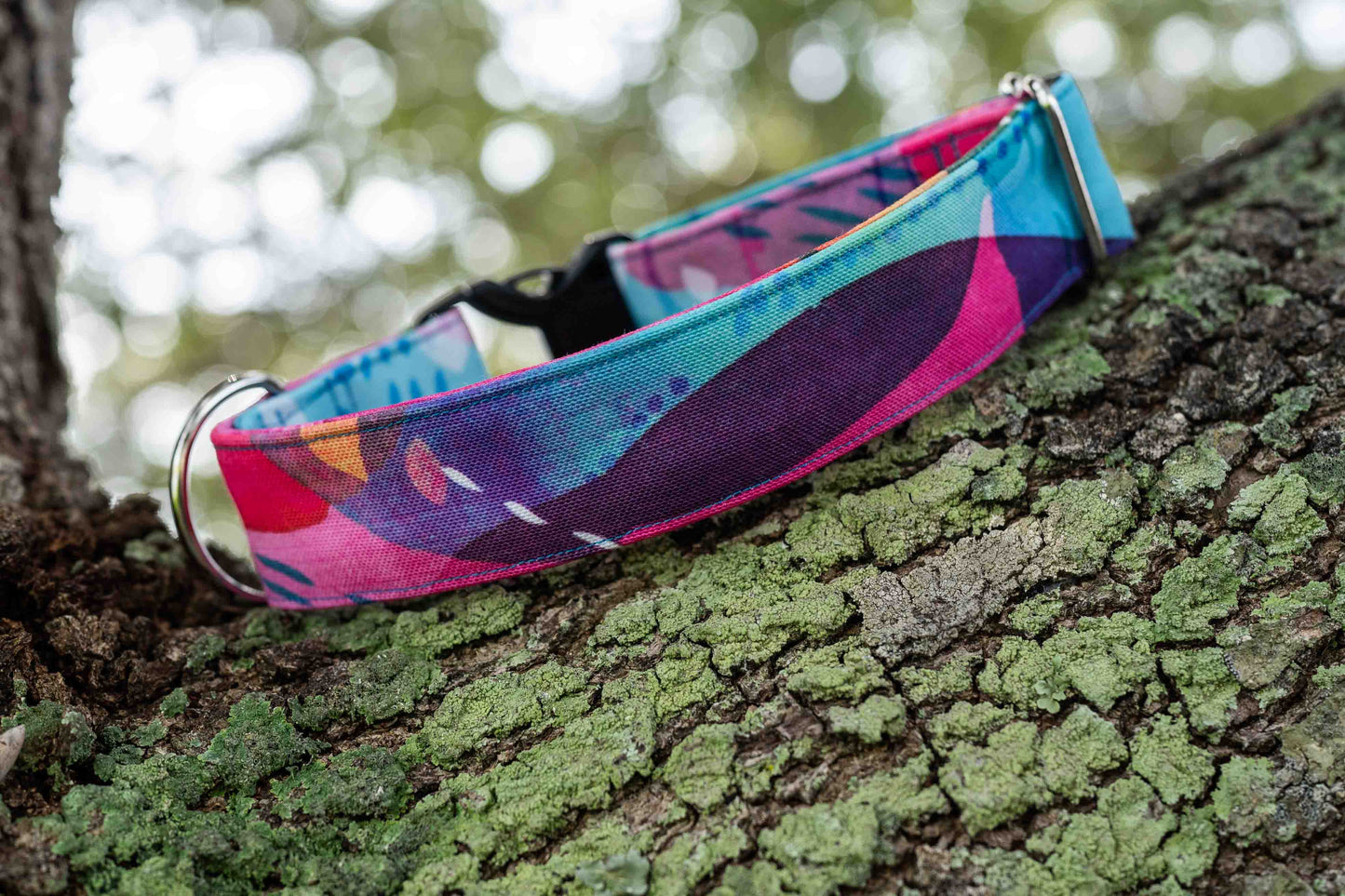 Rainbow Mystery Eco Canvas Custom Dog Collar