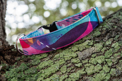 Rainbow Mystery Eco Canvas Custom Dog Collar