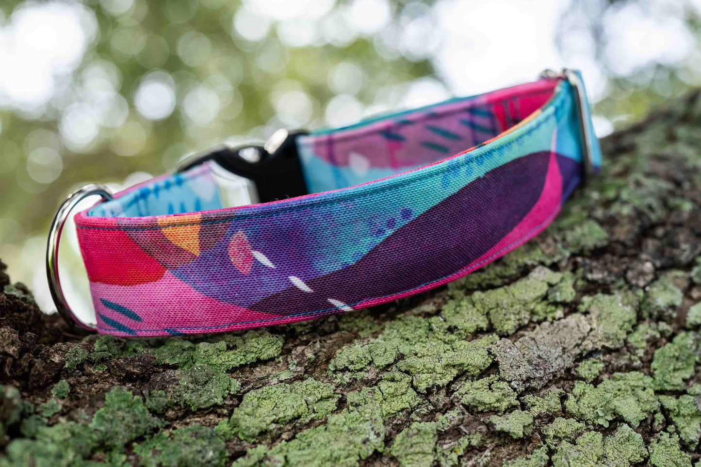 Rainbow Mystery Eco Canvas Custom Dog Collar