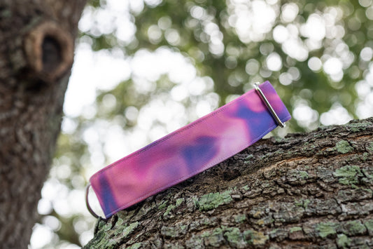 Whimsy Eco Canvas Custom Dog Collar