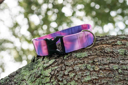 Whimsy Eco Canvas Custom Dog Collar