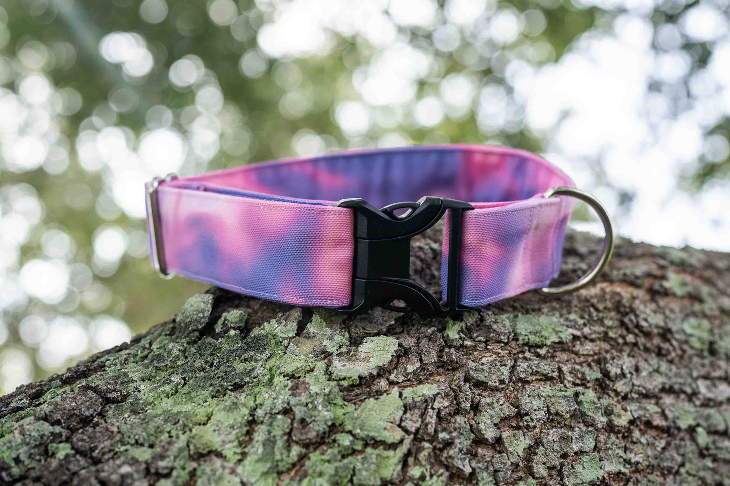 Whimsy Eco Canvas Custom Dog Collar