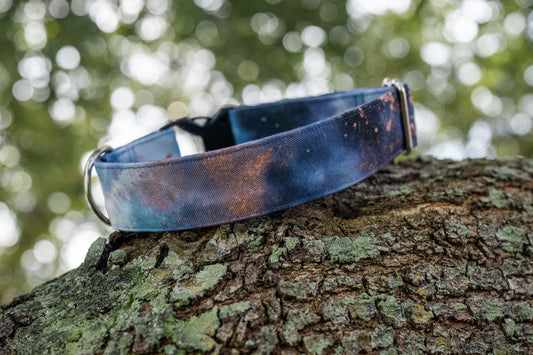Mist Eco Canvas Custom Dog Collar