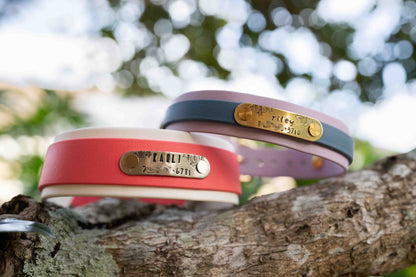 Collar with Accent Stripe