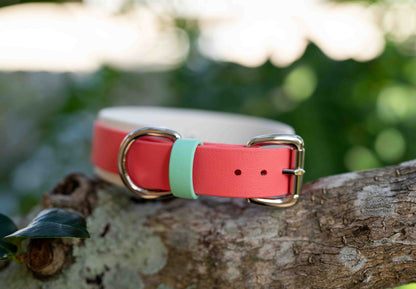 1.5" Layered Collar