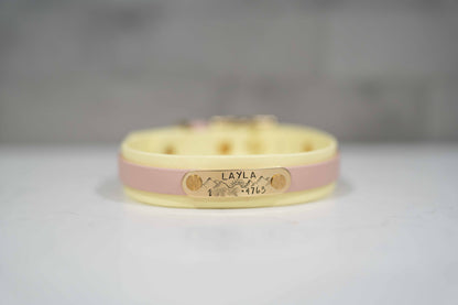 Collar with Accent Stripe