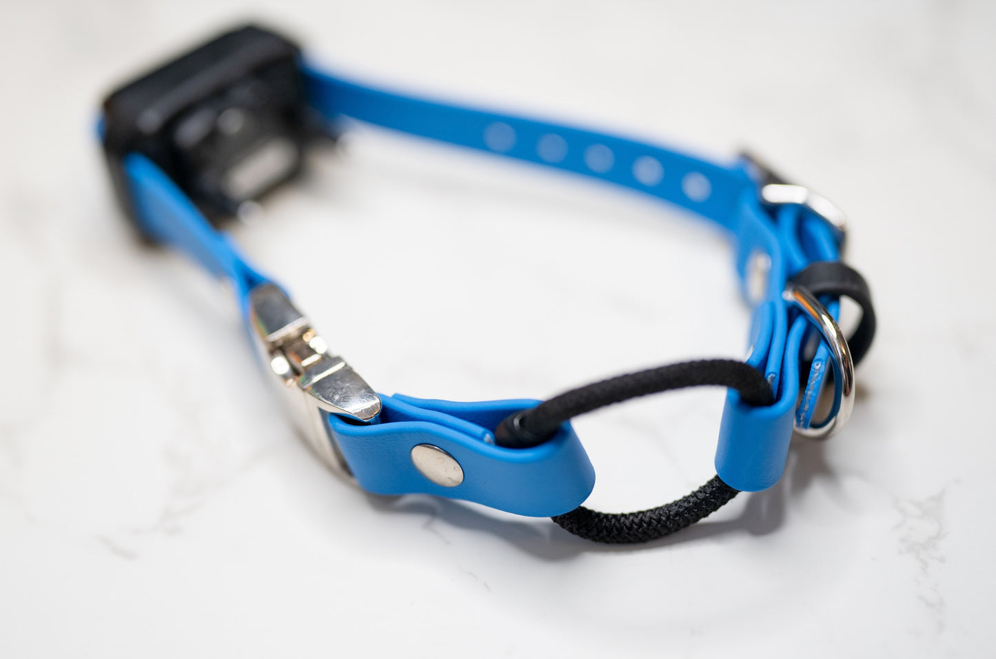 Adjustable E-Collar Strap with Quick Release Buckle (Optional Bungee)