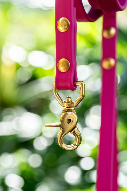 Waterproof Custom BioThane Leash