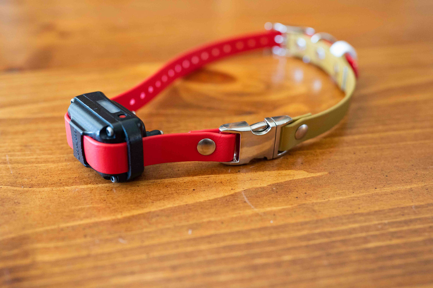 Adjustable E-Collar Strap with Quick Release Buckle (Optional Bungee)