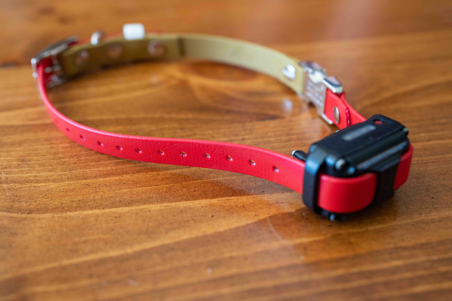 Adjustable E-Collar Strap with Quick Release Buckle (Optional Bungee)