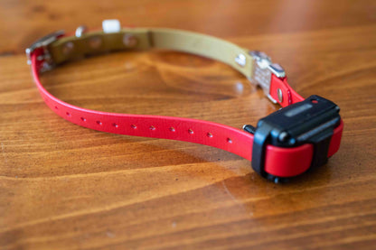 Adjustable E-Collar Strap with Quick Release Buckle (Optional Bungee)