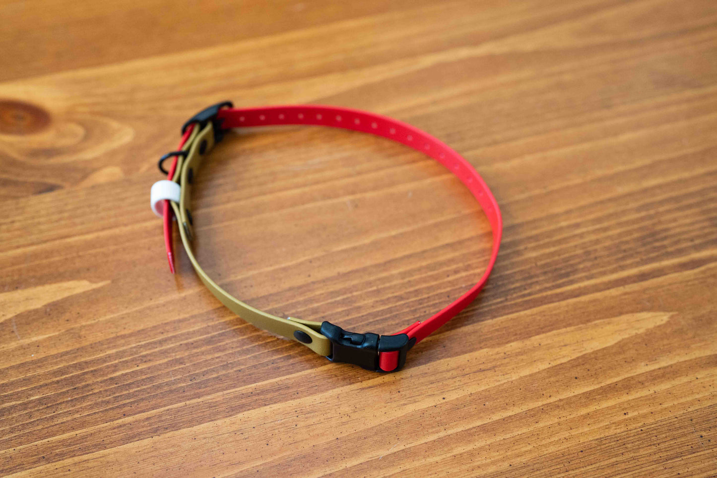 Adjustable E-Collar Strap with Quick Release Buckle (Optional Bungee)