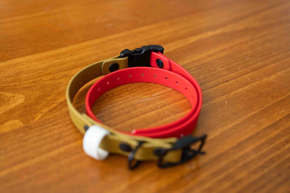 Adjustable E-Collar Strap with Quick Release Buckle (Optional Bungee)