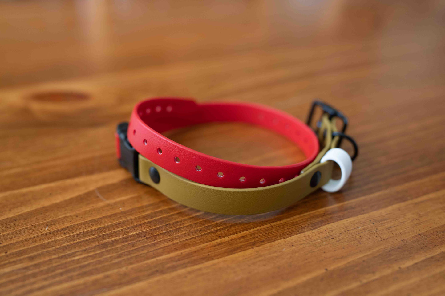 Adjustable E-Collar Strap with Quick Release Buckle (Optional Bungee)