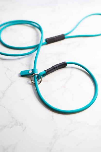 Rolled BioThane Slip Leash