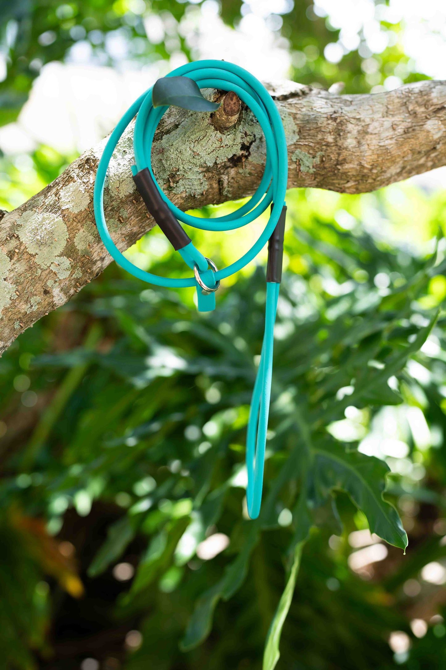 Rolled BioThane Slip Leash