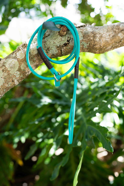 Rolled BioThane Slip Leash