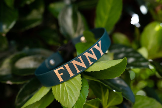 Vinyl Add On for Collars