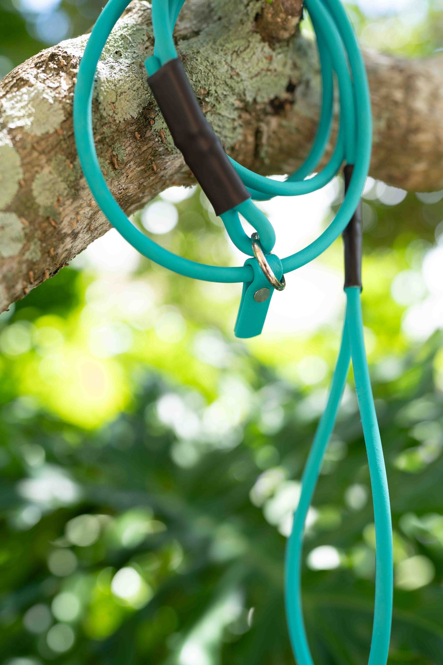 Rolled BioThane Slip Leash