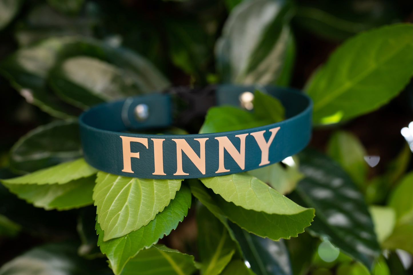 Vinyl Add On for Collars