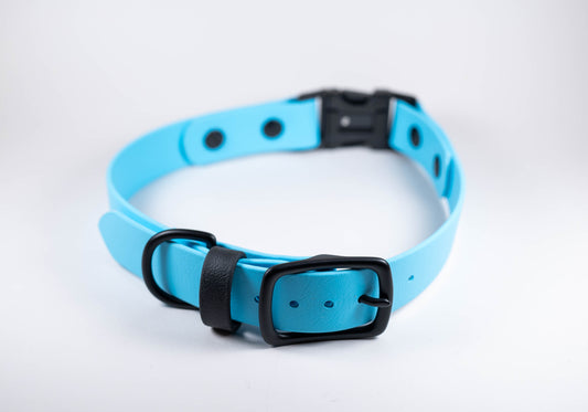 18-21" Arctic Blue Collar with Quick Release Buckle