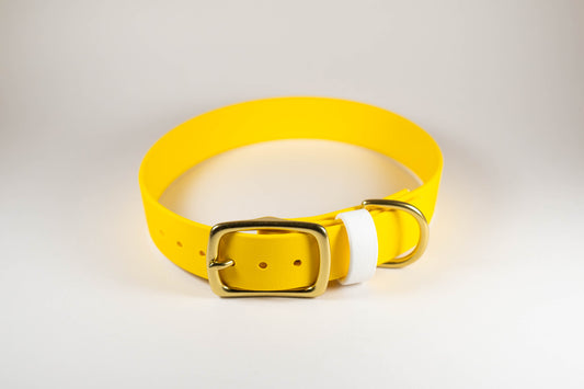 14-17" Yellow Collar