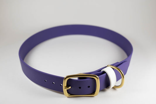 20-23" Violet Dog Collar