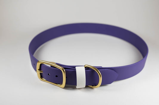 20-23" Violet Dog Collar