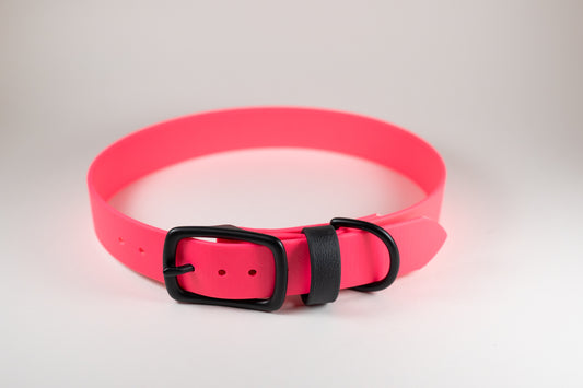 16-19" Hot Pink Collar