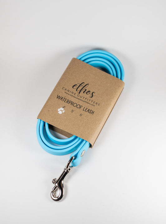 4' Arctic Blue Leash