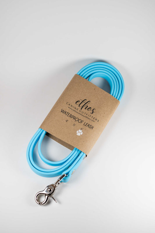 6' Arctic Blue Leash