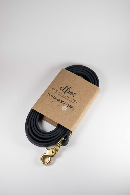 6' Onyx Leash