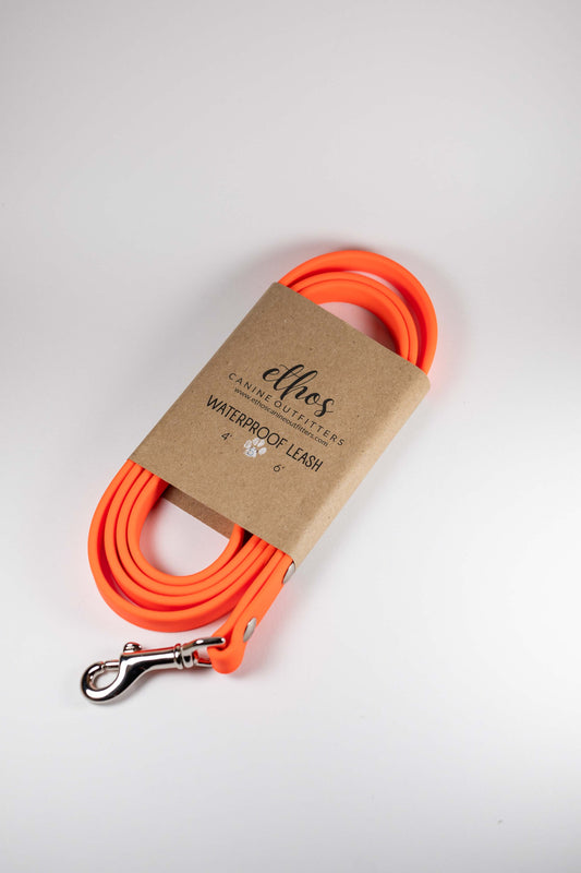 5' Orange Leash