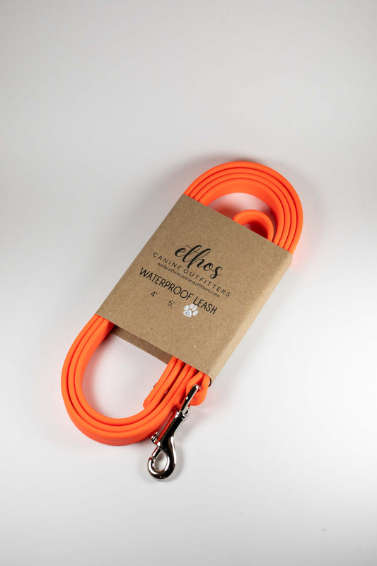 6' Orange Leash