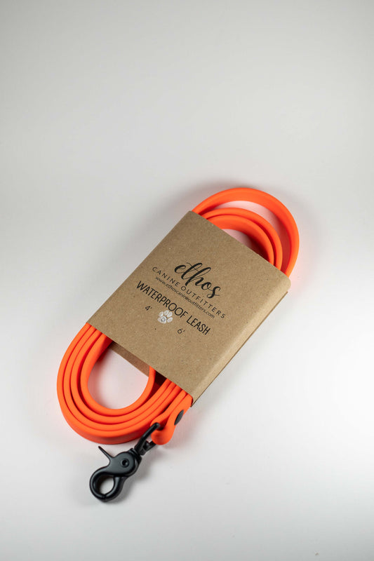 5' Orange Leash