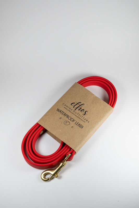 5' Red Leash