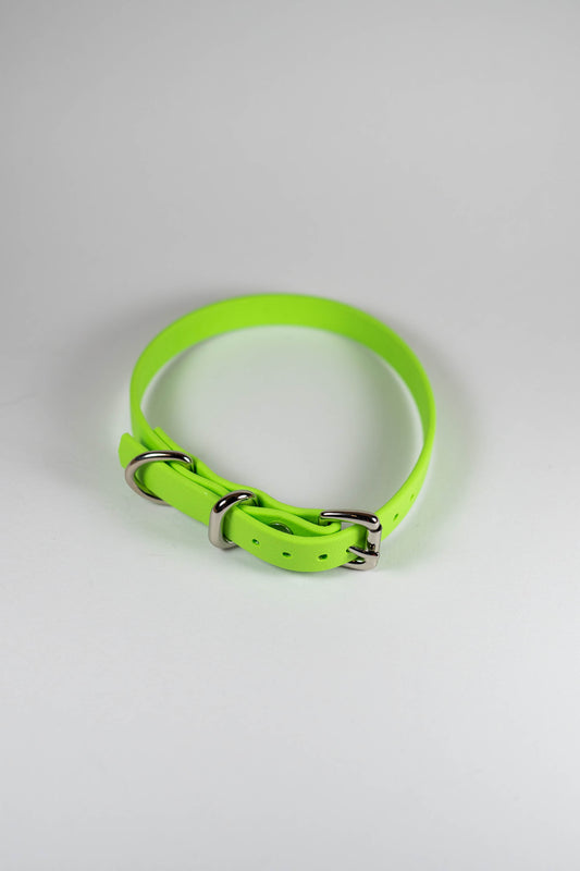 10-12" Tiny Light Green Collar
