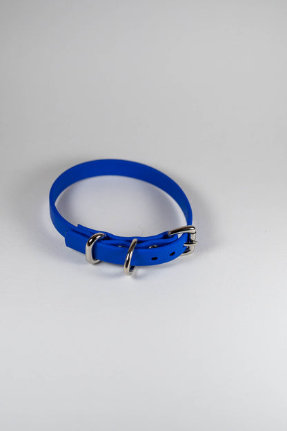 8-10" Tiny Peacock Blue Collar