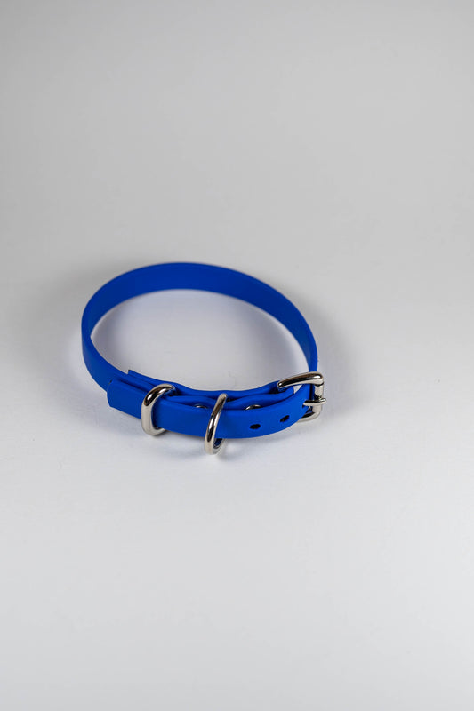 8-10" Tiny Peacock Blue Collar