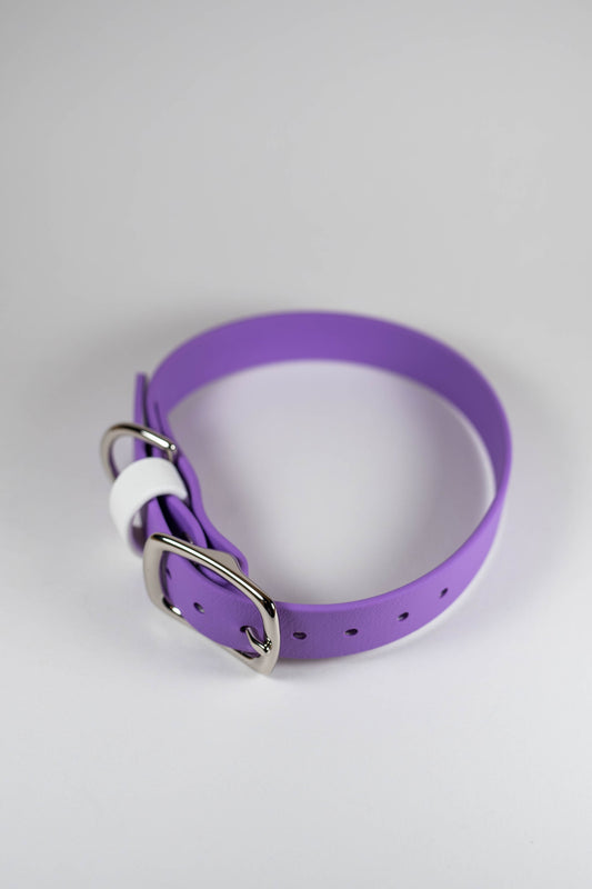 11-14" Purple Collar